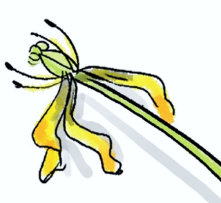weet-u-wat-u-wilt.png