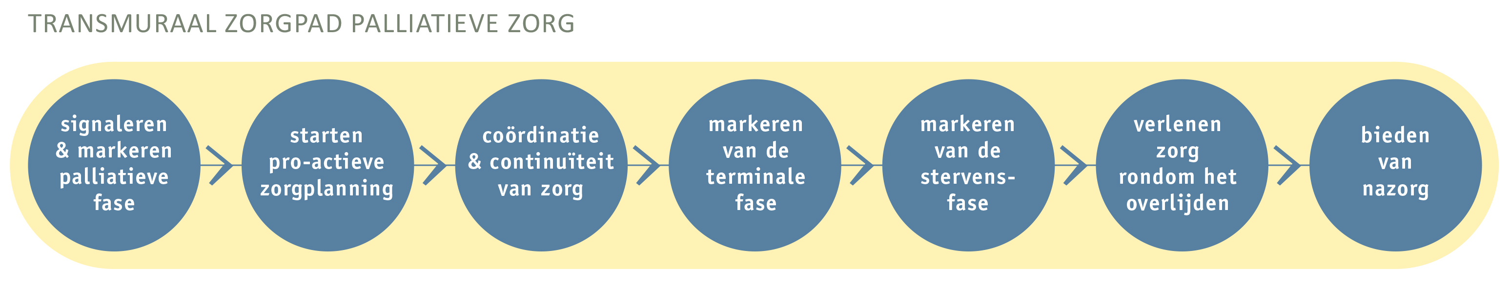 Transmuraal-zorgpad_website-(1).jpg Transmuraal-zorgpad_website-(1).jpg